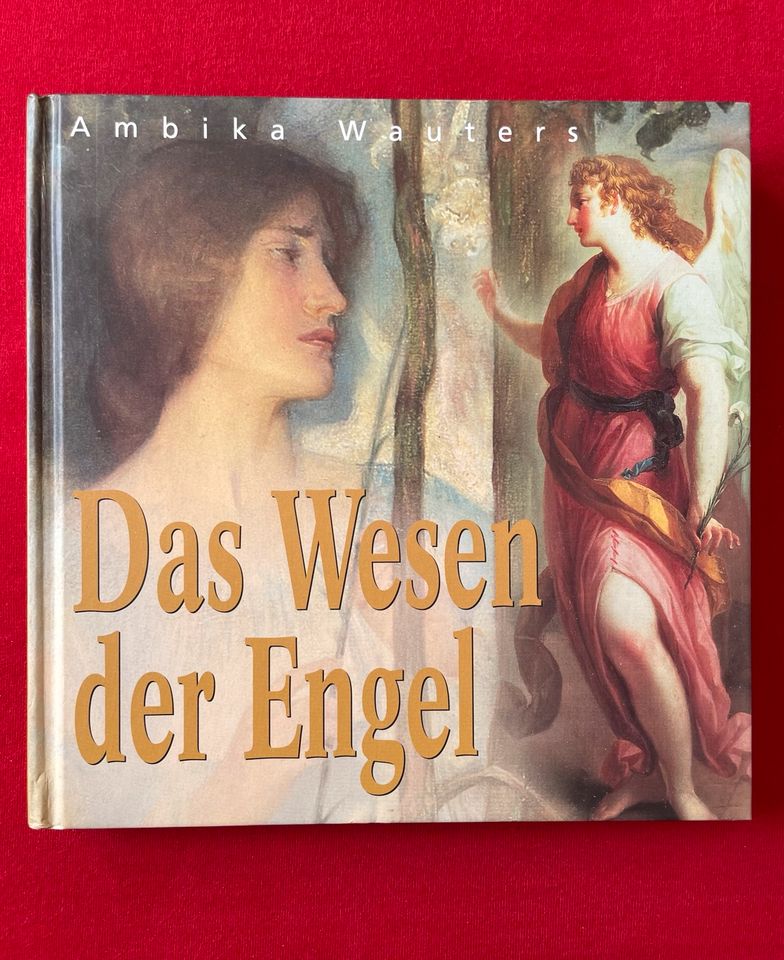 Ambika Wauters Das Wesen der Engel Paperback neuw. in Trier