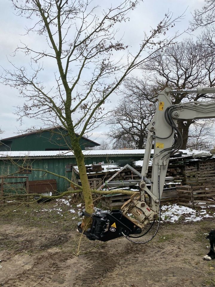 Fällgreifer JAC TMK Astschere Minibagger Takeuchi JCB Yanmar Cat in Wiemerstedt