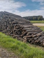 Brennholz zu verkaufen Bayern - Stadelhofen Vorschau