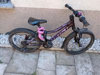 Ghost Lanao Mountainbike 20 Zoll Sachsen-Anhalt - Haldensleben Vorschau