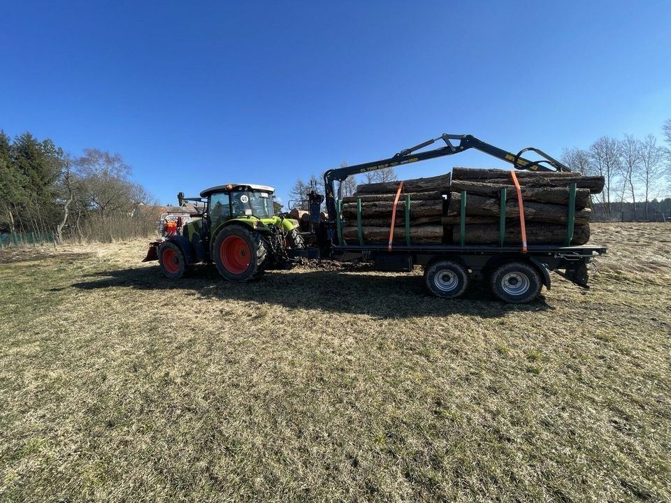 Holztransport (Rückewagen, Brennholz, Stammholz, Oehler, Tajfun) in Veilsdorf