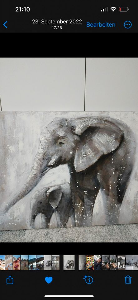 Leinwandbild xxxlutz Elefanten in Friedrichshafen