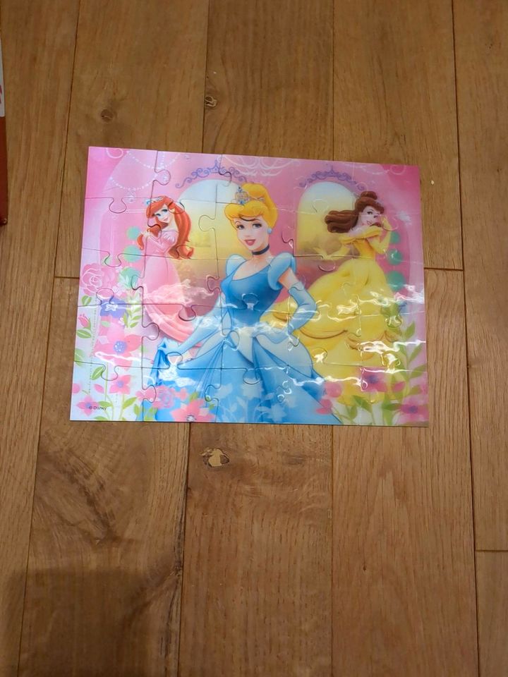 Verschiedene Kinder Puzzle Dinosaurier, paw patrol in Lübbecke 