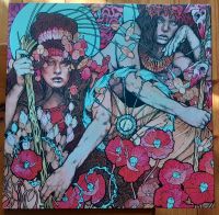 Schallplattensammlung Auflösung BARONESS Red Album Limited LP Brandenburg - Leegebruch Vorschau