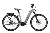 E-Bike Flyer Gotour6 5.20 - M - ⚡Totalausverkauf ⚡ jetzt 1400€ billiger- qwe Köln - Braunsfeld Vorschau