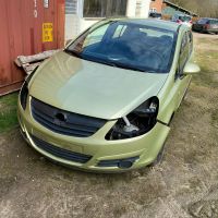 Opel Corsa D 5-Türig Z21B Z30E Teile Tür Schleswig-Holstein - Todenbüttel Vorschau