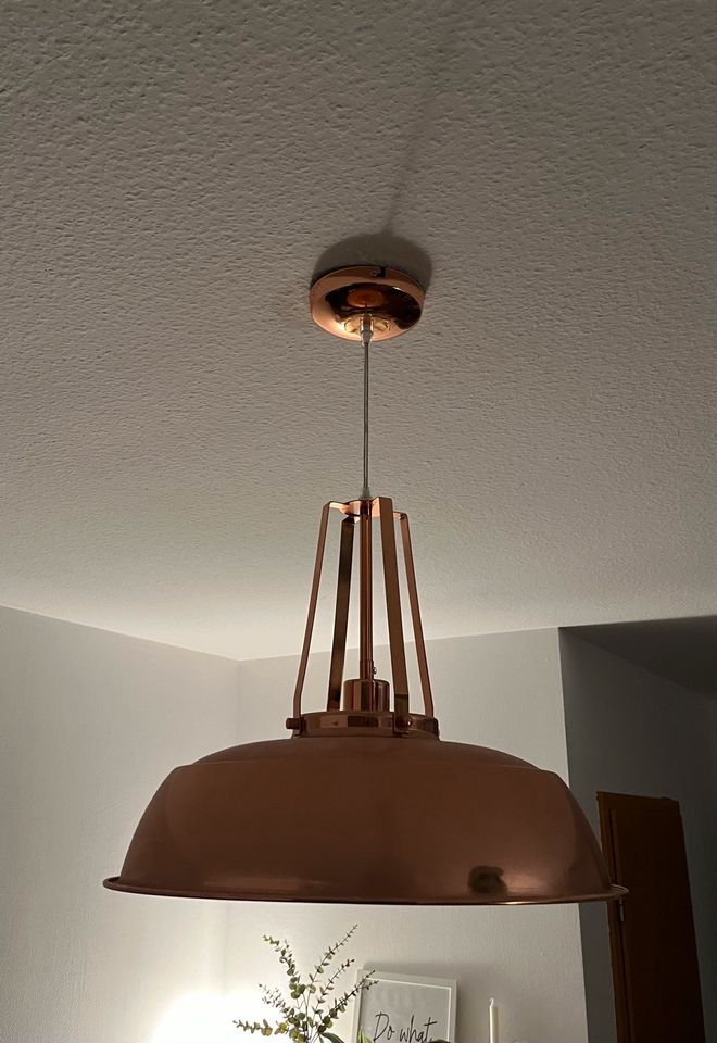 Lampe/Deckenlampe industrial rosé in Chemnitz