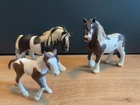 Schleich Tinker Familie Nordrhein-Westfalen - Bönen Vorschau