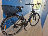 Fahrrad Pegasus Piazza 28" Leipzig - Leipzig, Zentrum-Ost Vorschau