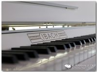 Traumhaftes Ibach Klavier, weiss (ivory) matt ★ optisch neuwertig Nordrhein-Westfalen - Altenberge Vorschau