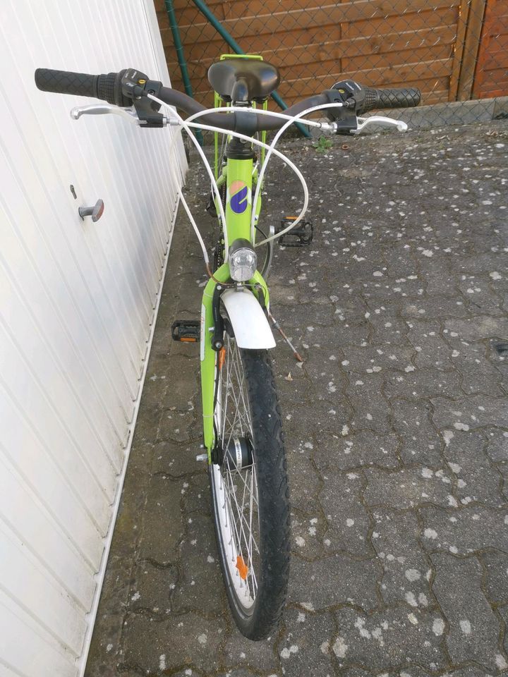 boomer 26 zoll nabendynamo Fahrrad cityrad in Hockenheim