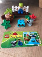 LEGO DUPLO 10581 Entenfütterung Niedersachsen - Hankensbüttel Vorschau