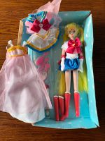 Sailor Moon Barbie Igel mit Zubehör Bayern - Bad Neustadt a.d. Saale Vorschau
