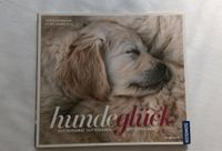 Hunde Ratgeber "Hundeglück" Bonn - Lessenich Vorschau