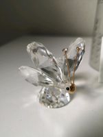 Swarovski Figur Schmetterling Schleswig-Holstein - Norderstedt Vorschau