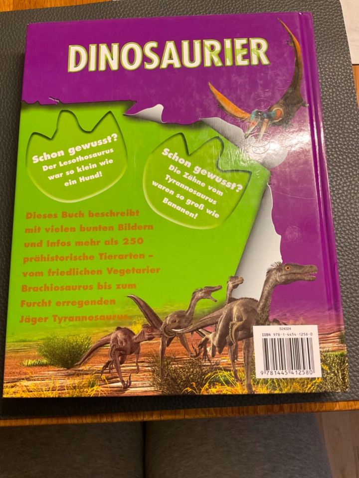 Dinosaurier  Buch in Maikammer