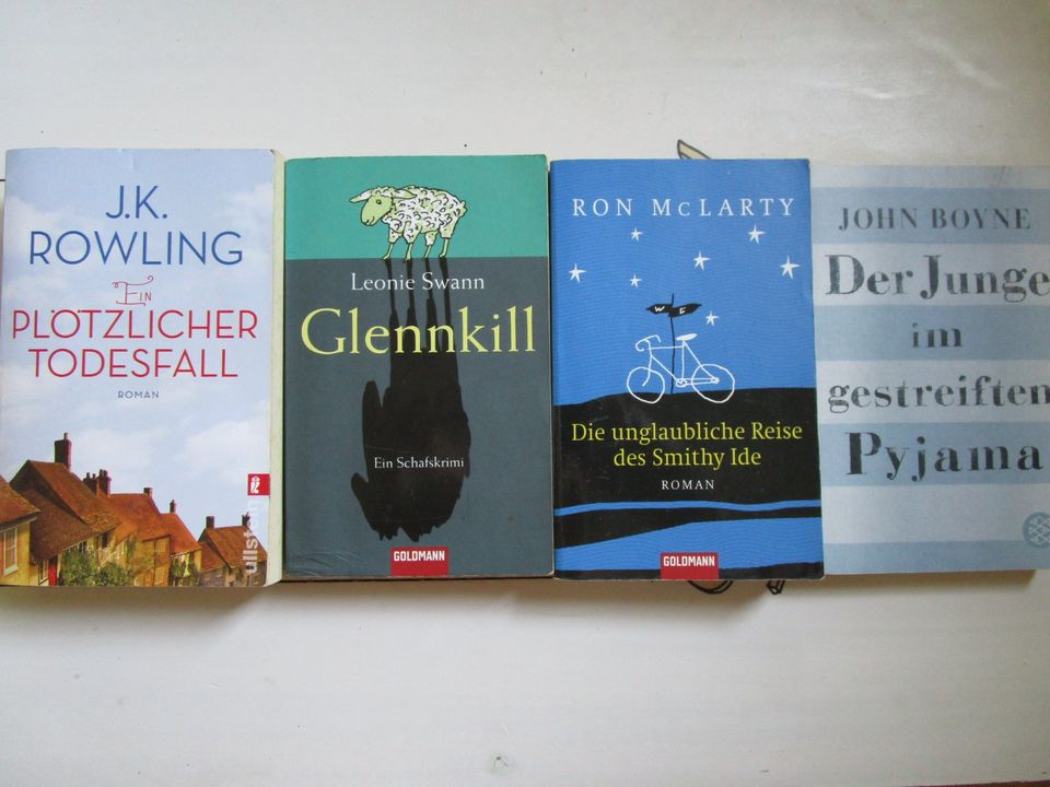 4 Buch Rowling Todesfall Glennkill Smithy Ide Gestreifter Pyjama in Grünendeich Niederelbe