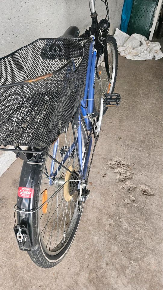 Damen und Herren Fahrrad 26 Zoll in Bobenheim-Roxheim