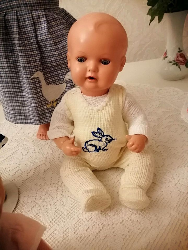 Schildkröt Puppe in Mönchengladbach