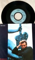 Sting  Single Vinyl - Gabriels Massage und Russians Bad Doberan - Landkreis - Graal-Müritz Vorschau