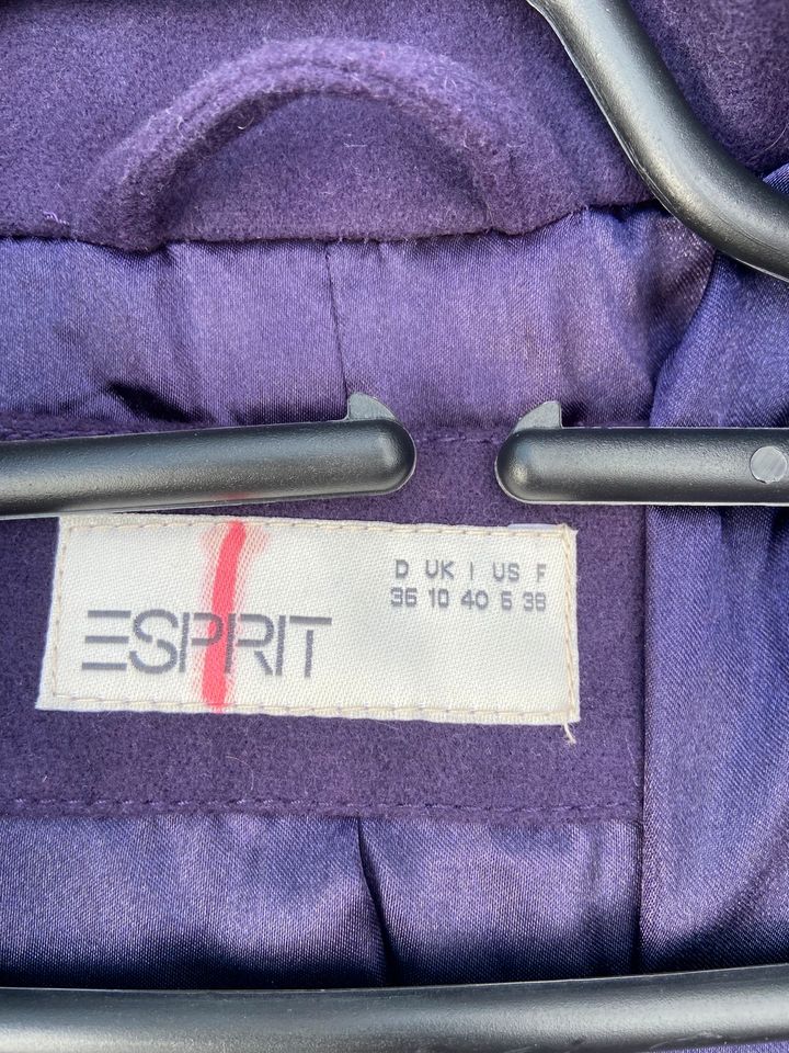 Esprit Jacke Lila 36 in Haselbachtal