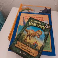 3 Bücher für kleine Dinofans Dinosaurier Sachbuch&Geschichten Hannover - Südstadt-Bult Vorschau