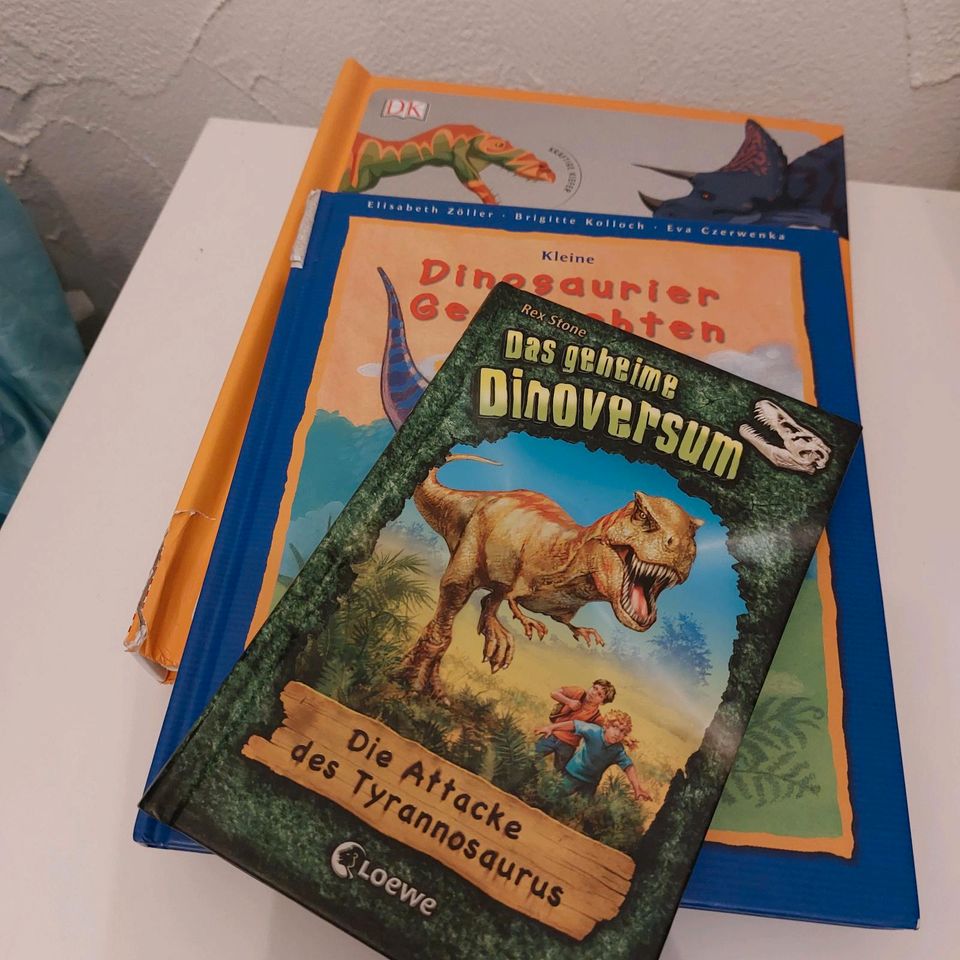 3 Bücher für kleine Dinofans Dinosaurier Sachbuch&Geschichten in Hannover