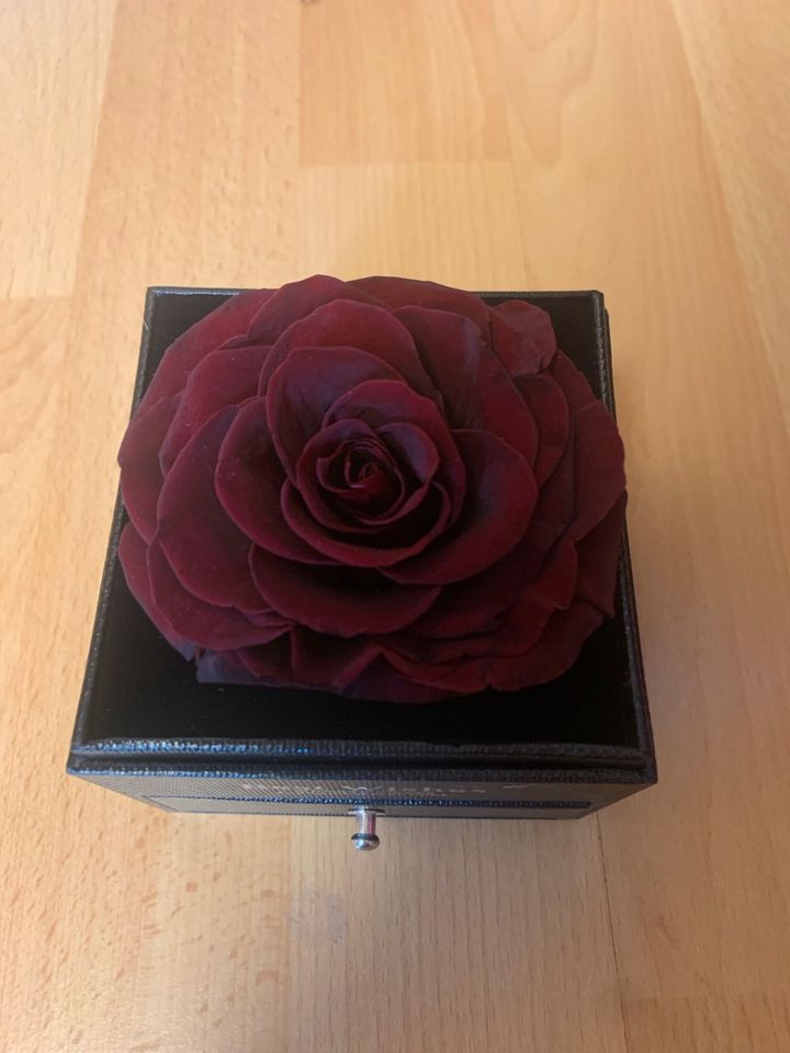 Box mit echter Rose / Geschenkbox mit echter Rose in Duisburg