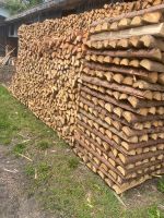 Fichte Hartholz Mix Buche Brennholz Trocken 100cm 1m Ofenfertig Kr. Dachau - Bergkirchen Vorschau