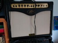 Peavey Windsor 20watt Combo Nordrhein-Westfalen - Rösrath Vorschau