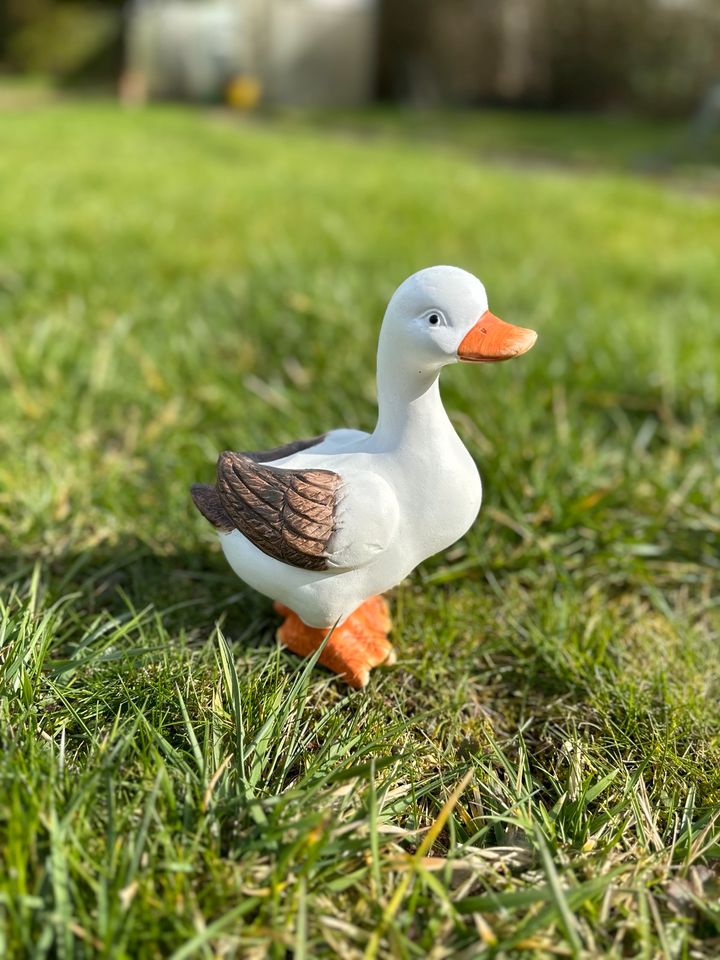 Dekofigur Garten Terrasse Ente Neu in Schwedt (Oder)