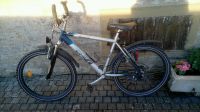 MTB 26 Zoll, Jugend/Herrenrad PHIL- Rogers, Hardtail Bayern - Karlstadt Vorschau