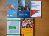 V. Bücher Kindertagespflege Tagesmutter Tagesvater Buch Pädagogik Baden-Württemberg - Freiburg im Breisgau Vorschau