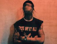 Zwei Travis Scott Tickets Sitzplätze Frankfurt 26.07. Rheinland-Pfalz - Niederzissen Vorschau