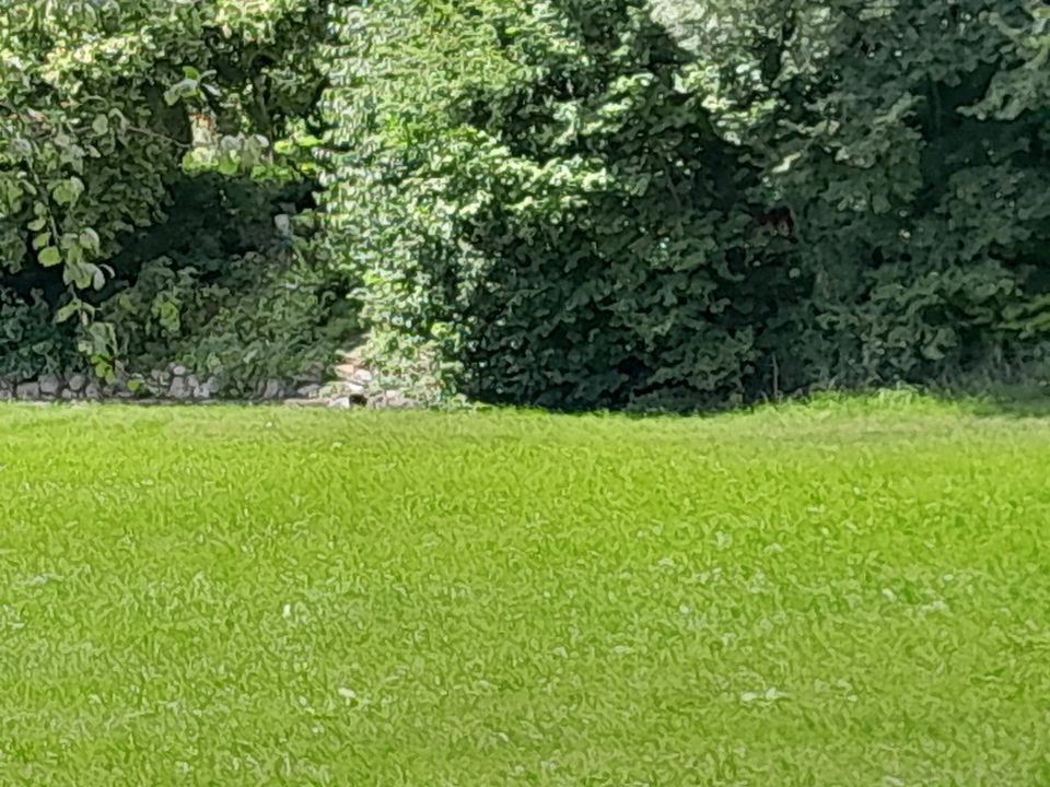 Suche Haus Bauernhof zur Miete Mietkauf Leibrente Alltagshilfe in Bayern -  Babensham | eBay Kleinanzeigen ist jetzt Kleinanzeigen