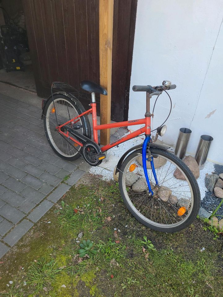 Fahrrad Kinderfahrrad 24" in Premnitz