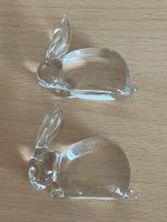 Glas Tiere Glastiete Hase Schildkröte Elefant Minifigur Glaskunst Hessen - Schwalmstadt Vorschau