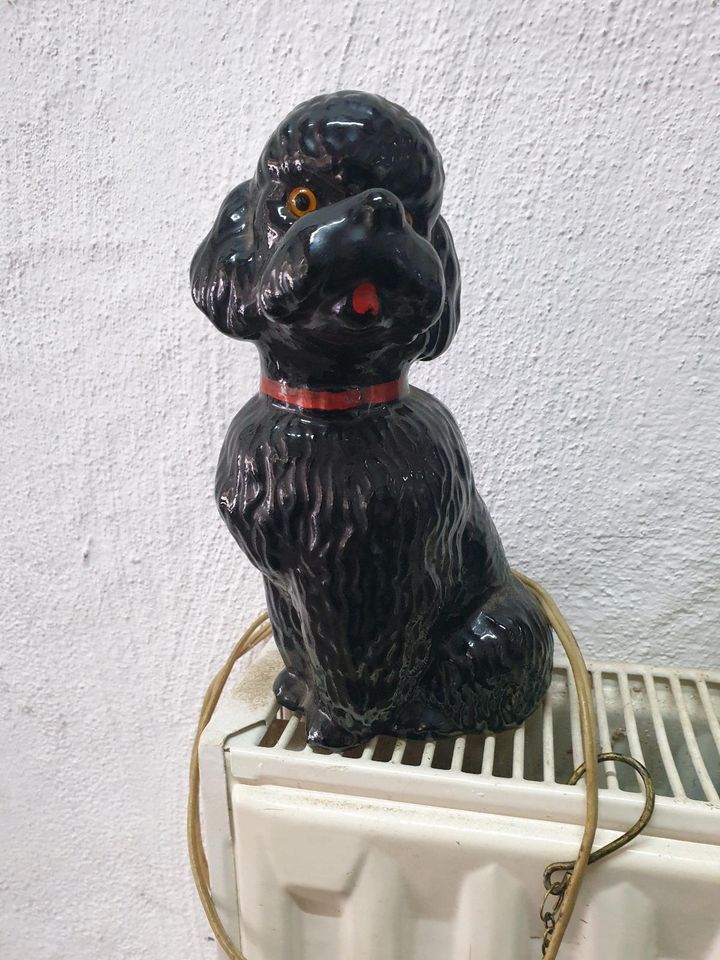 Rauchverzehrer Hund, DDR in Halberstadt