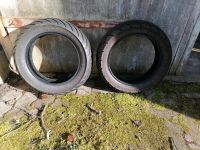 Reifen - Kymco Agilty 50 (ohne Felgen) Rheinland-Pfalz - Klingenmünster Vorschau