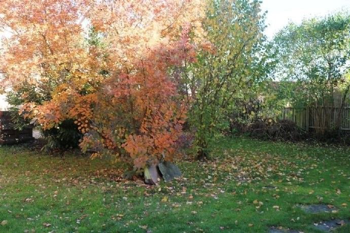 Charmantes Mehrfamilienhaus in Hochschulnähe zu verkaufen in Schmalkalden