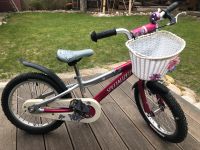 Specialized Kinderfahrrad 16“ 16 Zoll, gebraucht Brandenburg - Hohen Neuendorf Vorschau