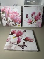 3 x Magnolien-Bilder Set Leinwand Keilrahmen Kunstdruck 30x30 Sachsen - Heidenau Vorschau