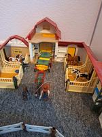 Große Playmobilsammlung Schleswig-Holstein - Nortorf Vorschau