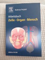 Anatomie Humanmedizin Bayern - Augsburg Vorschau