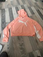 Puma Kapuzen Pullover Gr.M Nordrhein-Westfalen - Neuss Vorschau