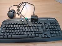 Computer - Funktastatur Bayern - Schwenningen Vorschau