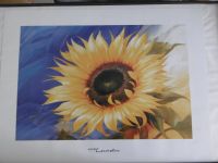 Poster Kunstdruck 60x80 Sonnenblume Bild Hessen - Gernsheim  Vorschau