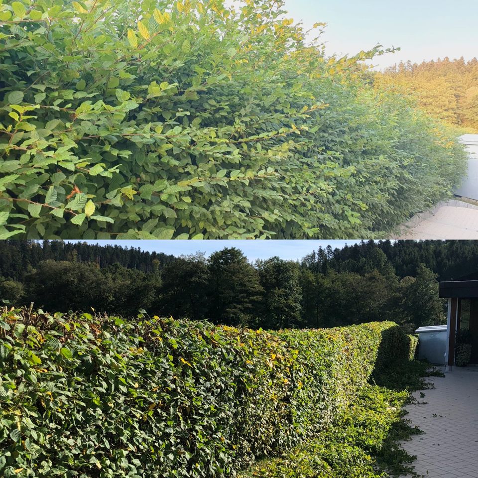 Grünschnitt I Grünpflege I Hecke I Rasen I Garten I Service in Lorch