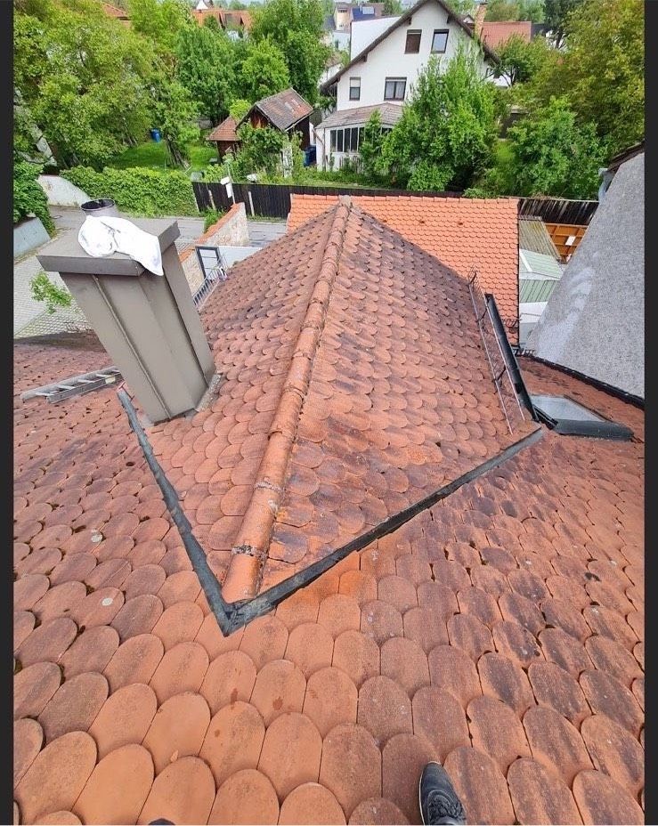 Dachreinigung, Terrassenreinigung,Pflasterreinigung in Reisbach