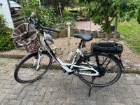 Bulls Lavida Green Mover E-Bike Niedersachsen - Großheide Vorschau